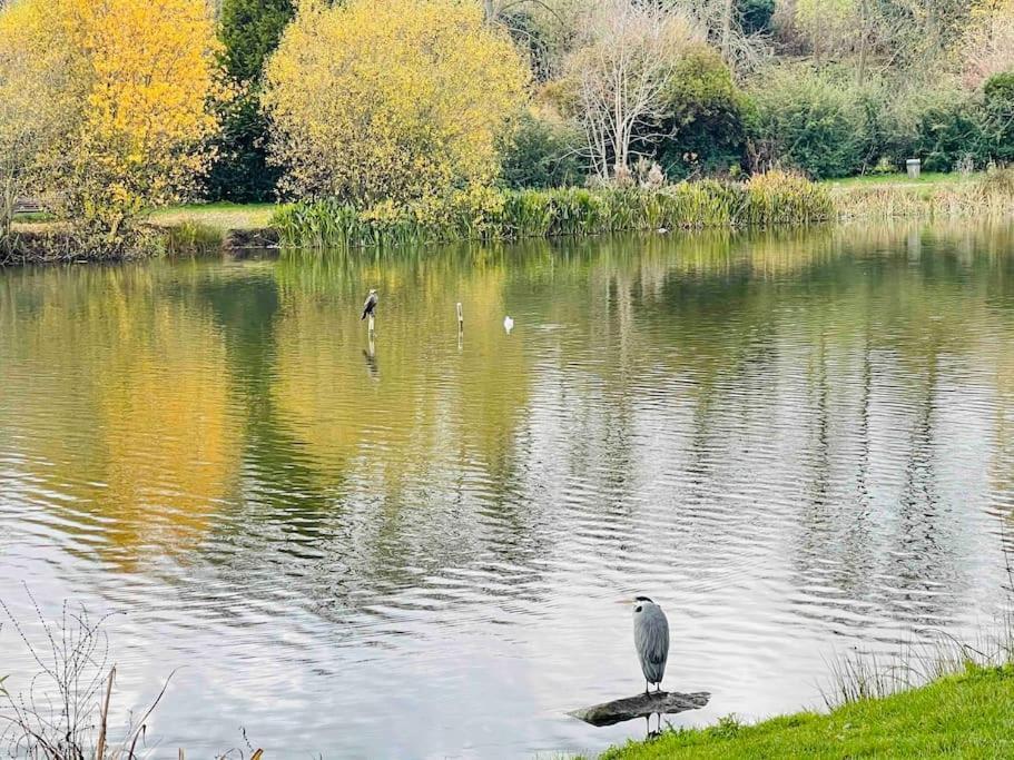 Apartmán Masion Belle Vue Sarcelles Exteriér fotografie
